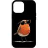 Robin Bird Outfit Custodia per iPhone 12 Pro Max Carino Robin Bird Occhiali Da Sole Costume