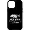 2026 Insel Amrum Souvenirs Custodia per iPhone 12 Pro Max Amrum è come New York frase divertente