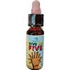 Gramora Srl Give Me Five Soluzione Idroalcolica Floreale 10ml