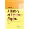 Springer A History of Abstract Algebra: From Algebraic Equations to Modern Algebra