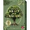 Groh Verlag Orakelkarten: Die verborgene Kraft der Bäume: 50 Orakelkarten für das ganze Jahr | Nutze die Botschaften und Weisheiten der Natur. Spirituelles Kartenset in edler Box