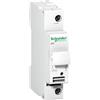 Schneider Electric A9N15636, Sezionatore portafusibili 1P