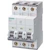 Siemens 5SY6310-6, Interruttore magnetotermico 3P Tipo B
