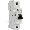 Allen Bradley 189-AST1, attivazione shunt per interruttore automatico