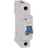 Allen Bradley 1492-SPM1D040, Interruttore magnetotermico Tipo D