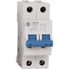 Rockwell Automation 1492-SPM2C500, Interruttore magnetotermico 2P Tipo C