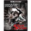 Silent Scream 4KUHD 4K UHD (4K UHD Blu-ray)
