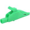 Fafeicy Morsetto Elettrico con Isolamento in Ottone e Copertura in PA, Tipo di Sicurezza, Morsetto di Prova Elettrico per Batteria Auto 32 A/1000 V (GREEN)