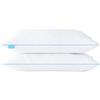 Cuscino Di Fiocchi Di Memory Foam, Set Di 2
