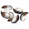 GLIMDA Bimoo 6PCS #12 Ninfa Ninfa Ninfa Mosca Per Esca Trota Esca Insetto Ninfa Pesca F1Q9 Artificiale