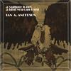 Lantern Bonfire Records A Vulture Is Not A Bird You Can Trust