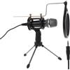 1 Set Microfono Classe Online Mic Stand Set Microfono di registrazione (Nero)