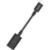 AudioQuest DragonTail - Adattatore da USB A a C in carbonio