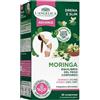 L'Angelica, Moringa Superfood, Integratore Alimentare per L'Equilibrio del Peso Corporeo, Con Moringa e Cromo, Senza Glutine e Senza Lattosio, Vegano, 1 Confezione da 60 Compresse