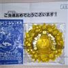 Yo-kai Watch Legend Emblem 2 Super Ochikun Medal anime da collezione Giappone