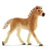 SCHLEICH - 2513814 Puledro Avelignese