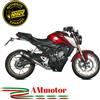 MIVV Scarico Completo Mivv Honda Cb 125 R 2021 Scarico Gp Pro Carbonio Per Moto