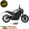 Mivv Benelli Leoncino 800 2022 Terminale Di Scarico Moto Marmitta Mk3 Carbonio