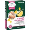 L'Angelica, Gambo D'Ananas, Integratore Drena e Slim, Favorisce il Drenaggio dei Liquidi, Contrasta la Cellulite, Senza Glutine e Senza Lattosio, Vegano, 1 Confezione da 12 Bustine