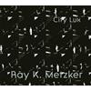 Carrie Springer Ray K. Metzker: City Lux (Copertina rigida)