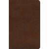 ESV Concise Study Bible™ (Rilegato in ecopelle)