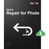Stellar Repair for Photo