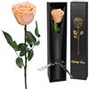 Yamonic Rosa Stabilizzata Regalo Donna,Rosa Eterna con Steli Regalo per Donne Compleanno,Idee Regali per Lei,Regali Mamma Natale San Valentino Festa della Mamma,Vera Rosa Champagne