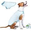 DQGHQME Gilet rinfrescante per cani - Leggero, protezione UV, regolabile, riutilizzabile, raffreddamento evaporativo, reversibile. Ideale per escursioni, corsa, viaggi, giochi.