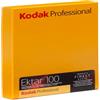 Kodak Pellicola per Foto a Colori Professional Ektar 100, 4x5, 1 x 10