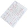 1pc Essere umano Anatomia Poster Scheletrico Insegnamento Immagine Struttura