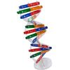 ifundom Dna Doppia in Carta Fai-da-te, Strumento Educativo Scientifico per Decorazioni Scuola e Apprendimento Design Autoassemblante per Studenti Colore Casuale