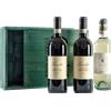 Magnum Barbaresco Bric Turot Prunotto 2009 (Cassetta in Legno) - Vini