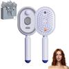 Drbrrly Electric Hair Brush Women with Water Spray, Vibration Misting Detangling Comb, Red Light Air Cushion Massage Brush for Wet & Dry Hair, Portable Home Spa Styling Tool (Purple)