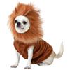 Atosa Costume De Animale Domestico Leone S