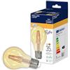 MÜLLER LICHT Müller-Licht 4 x lampadine a LED a forma di pera, E27, con innovativa tecnologia a filamento, luce bianca calda (2000 K) per un'atmosfera piacevole, vetro, 4,5 W, oro, confezione da 4