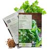 growgreens Semi di coriandolo biologiche - Semi di erbe aromatiche da coltivare in cucina, sul balcone, sul orto rialzato e in giardino