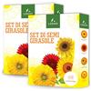 LERAVA® Semi Girasoli (4 varietà) - Girasole gigante rosso giallo nano Sungold - Facile coltivazione per giardino - Semi di girasole da piantare per fioriture ricche e colorate - 2pz
