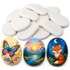 Fyhqwf 20 Pezzi Ciottoli per Pittura - Ciottoli Bianchi da Giardino - Sassolini Decorativi per Vasi - Pietre Creative per Graffiti per Bambini E Adulti, Decorazioni per La Casa E Il Giardino