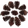 Colcolo 10x Pigne Essiccate Al di Grandi Dimensioni per La Decorazione Artigianale Del Riempitore di, B 8-10 cm