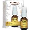 DR.GIORGINI SER-VIS Srl LAVANDA Quintessenza Spray