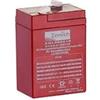 AUTOMARKETPRO BATTERIA SERVIZI AGM ZGL060016 CAMPER NAUTICA GIOCHI TELEFONI SISTEMI DI ALLARME 6 V 5 AH 70x47x107 MM