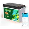 Mjbsan LiFePO4 12 V 330 AH batteria al litio Bluetooth con 200 A BMS, 8000 + cicli, batteria al litio 4224 W, protezione da spegnimento a bassa temperatura, perfetta per camper, applicazioni solari e