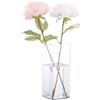 Segus Vaso Acrilico Trasparente, 10x25cm Vaso Plastica Trasparente, Rettangolari in Plastica, Infrangibili, per Soggiorno, Matrimoni, Interno