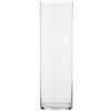 Euro Italia Cilindro in Vetro Diametro 25 Cm Altezza 80 Cm Contenitore Trasparente Wedding