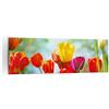 ARTTOR Quadro su Tela 160x50cm Stampe da Parete Tulipano fiore piantagione prato Grandi Decorazione Murale Camera da Letto 1 pezzo Quadri Moderni Soggiorno Grafica Immagini Wall Art Canvas AB160x50-2566