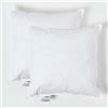HOMESCAPES Confezione da 2 Inserti per Cuscino in Piume d'Oca di Lusso 45 cm x 45 cm (18 x 18) con Elastico a Righe e Copertura Anti-Piume, Imbottitura Generosa, Imbottitura Ipoallergenica