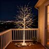 CCLIFE Albero Luminoso da Interno Led Esterno Albero Fatato Lampada Natale,Lampada Albero di Betulla Bianca,Bianco Caldo,IP44,180 cm,200 LED,CushHom