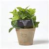 Homescapes - Pianta artificiale verde in vaso menta, erba aromatica artificiale