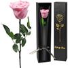 Yamonic Rosa Stabilizzata Regalo Donna,Rosa Eterna con Steli Regalo per Donne Compleanno,Idee Regali per Lei,Regali Mamma Natale San Valentino Festa della Mamma,Vera Rosa