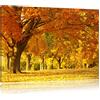 Pixxprint Bellissimo Paesaggio Autunnale Stampa su Tela 60x40 cm Artistica murale